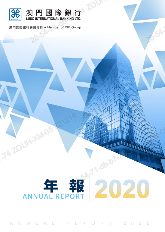 2020年報.pdf